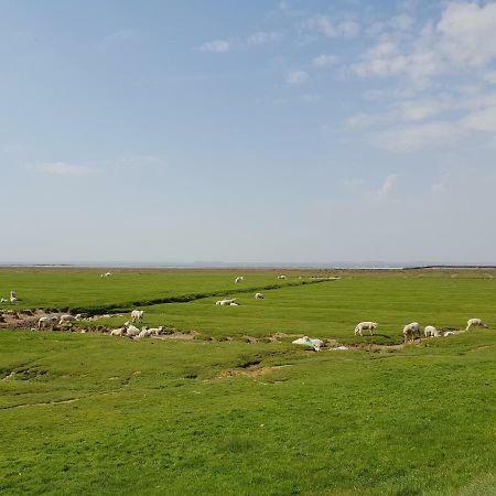 فيلا Kleines Haeuschen Am Deich, Vor Den Toren Von Sylt Emmelsbüll-Horsbüll المظهر الخارجي الصورة