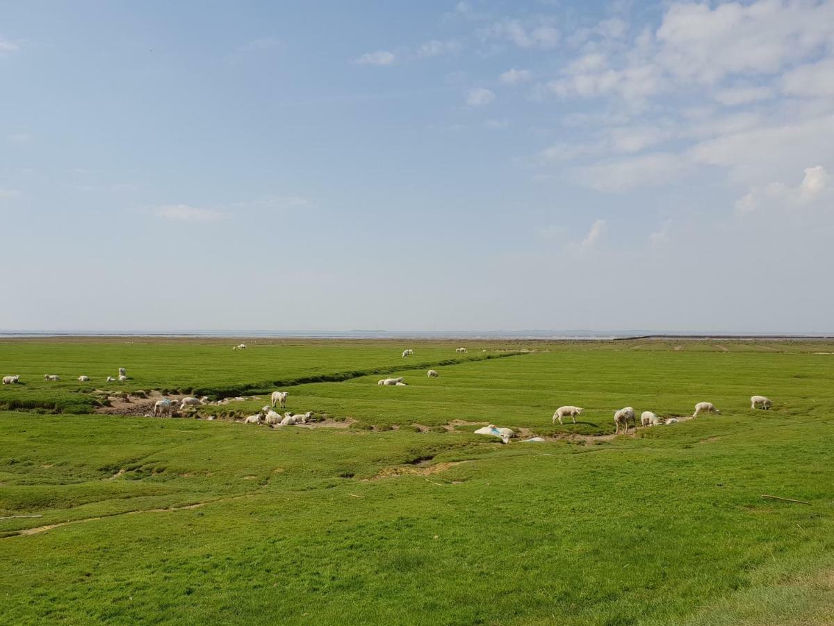 فيلا Kleines Haeuschen Am Deich, Vor Den Toren Von Sylt Emmelsbüll-Horsbüll المظهر الخارجي الصورة