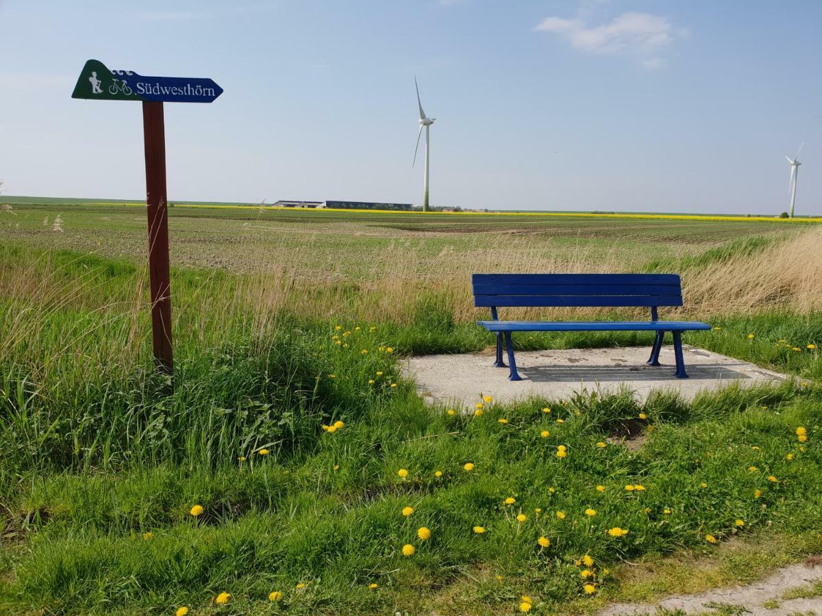 فيلا Kleines Haeuschen Am Deich, Vor Den Toren Von Sylt Emmelsbüll-Horsbüll المظهر الخارجي الصورة